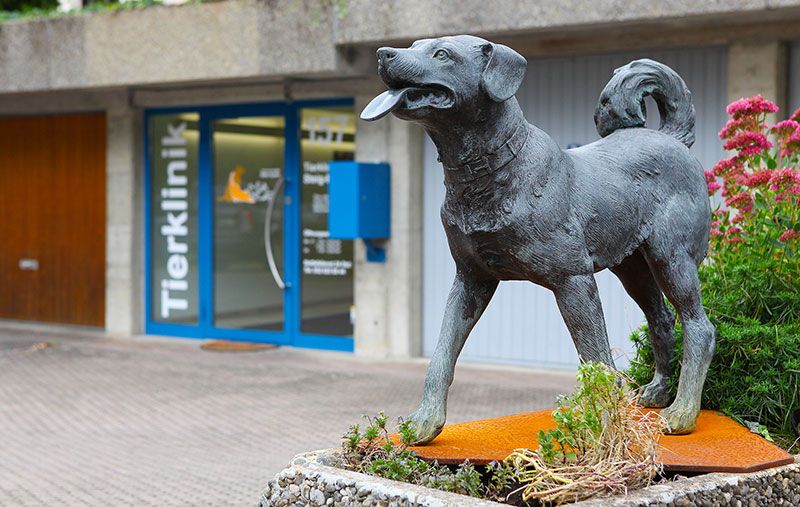 Tierklinik Steig-Breite