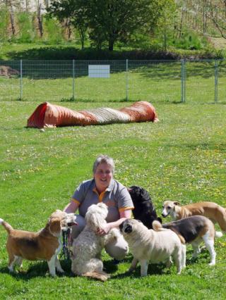 AM SONNENSTÜCK Kleintierpraxis & Tierpension