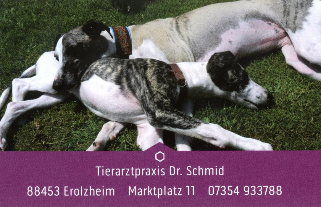 Tierarztpraxis Dr. Schmid