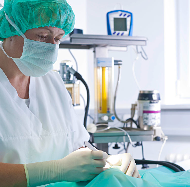 Tierärztliche Fachpraxis Dr. med. vet. Tanja Schlegel