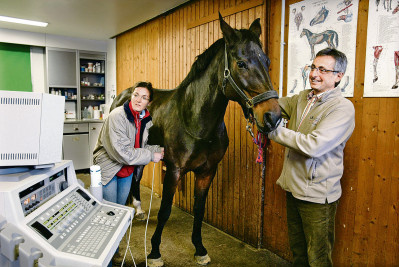 Dr.med.vet. Ulrich Walliser Tierärztliche Klinik