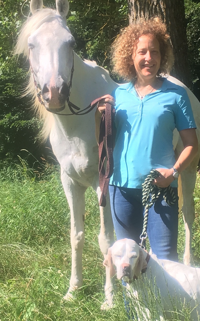 Dr. Imke Querengässer, Tierarztpraxis für Physiotherapie & Chiropraktik