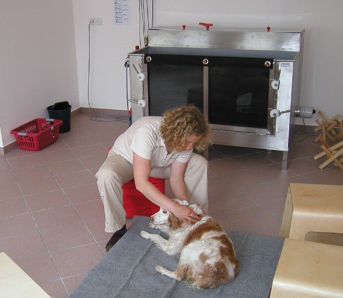 Dr. Imke Querengässer, Tierarztpraxis für Physiotherapie & Chiropraktik
