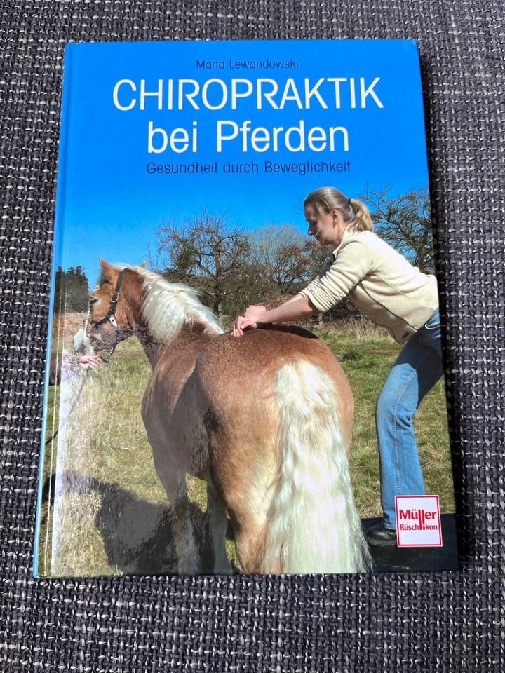 Praxis für Kleintiere und Pferde