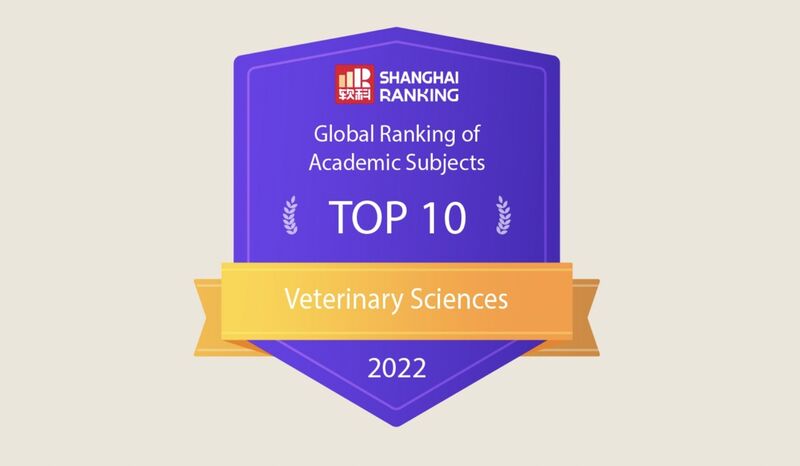Dr. med. vet. Heike Meßmer-Verbancic