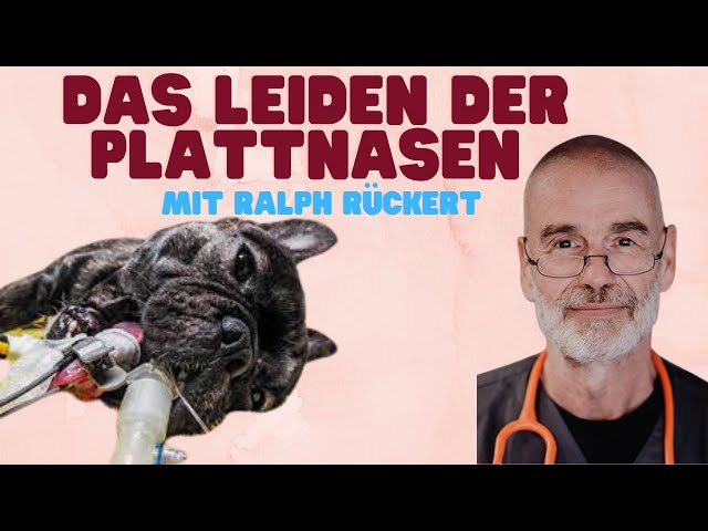 Tierarzt Ralph Rückert