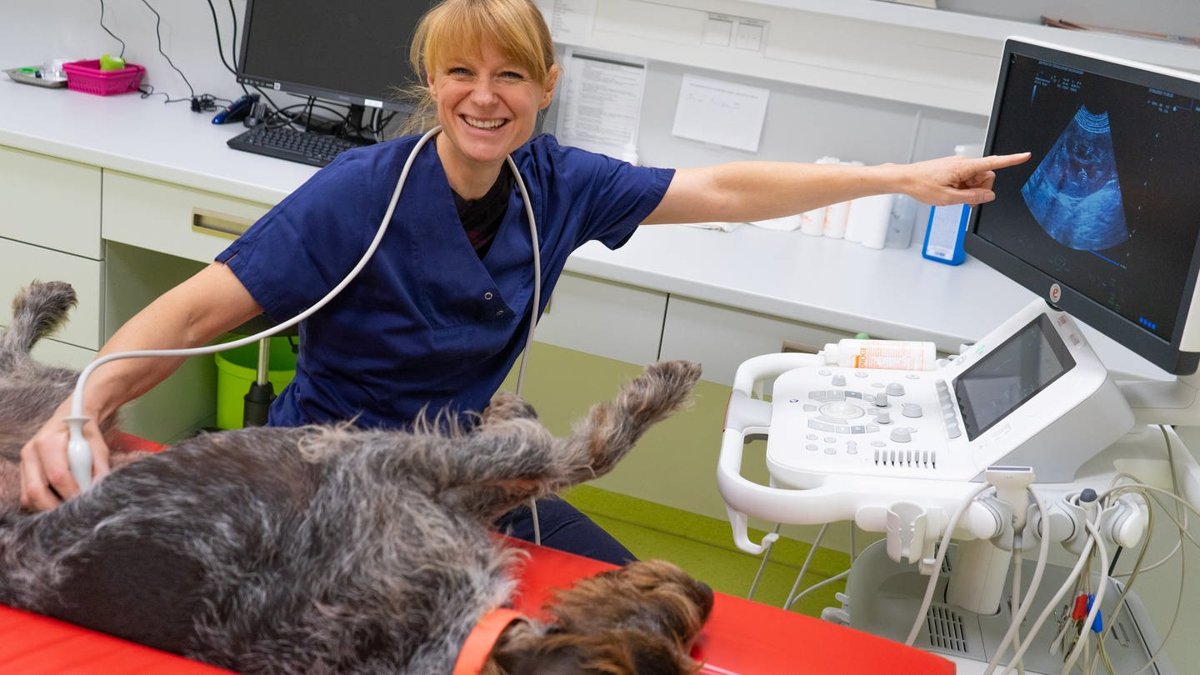 Zentrum für Tiergesundheit, Tierarztpraxis