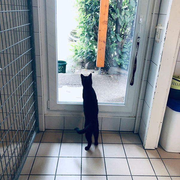 Tierklinik am Scheibenberg Preuß