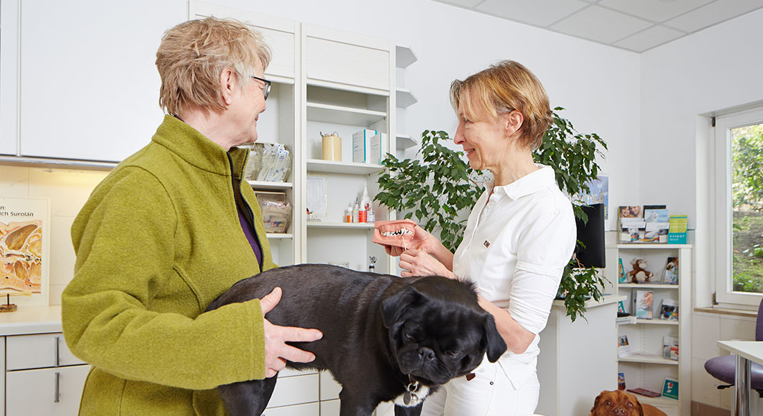 Tierklinik Germersheim GmbH