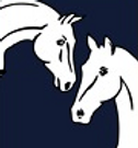 Tierarztpraxis Pfefferle und PBM Pfefferle GmbH