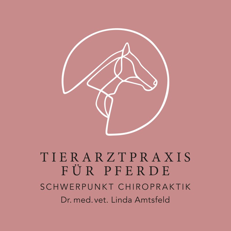 Praxis für Kleintiere und Pferde