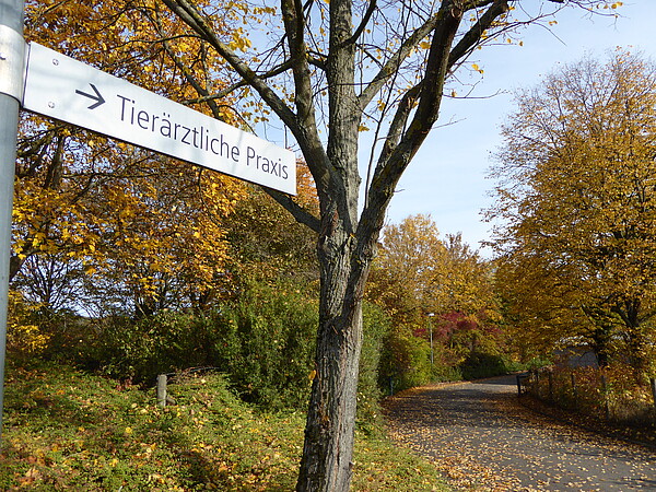 Universität Hohenheim Tierärztliche Praxis