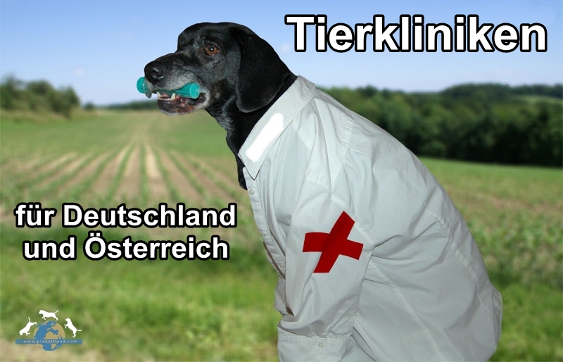 Tierklinik am Scheibenberg Preuß