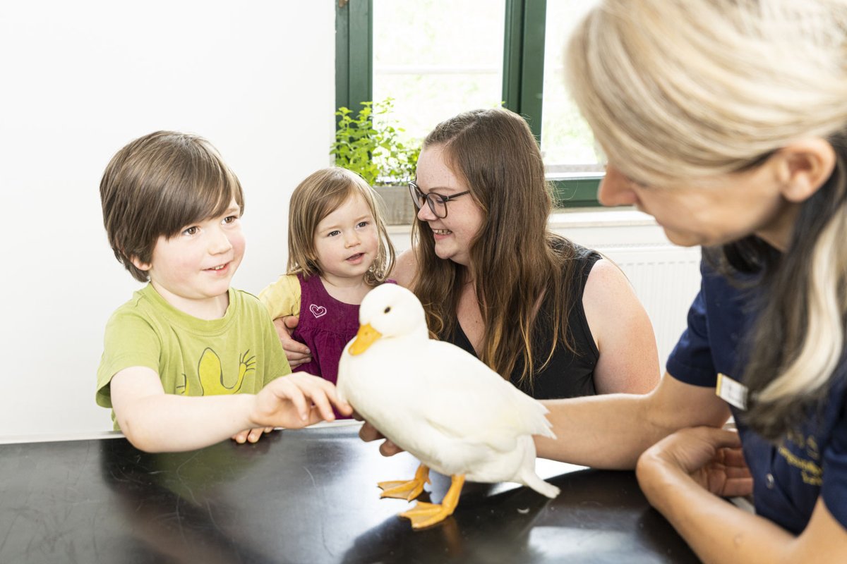 Zentrum für Tiergesundheit, Tierarztpraxis