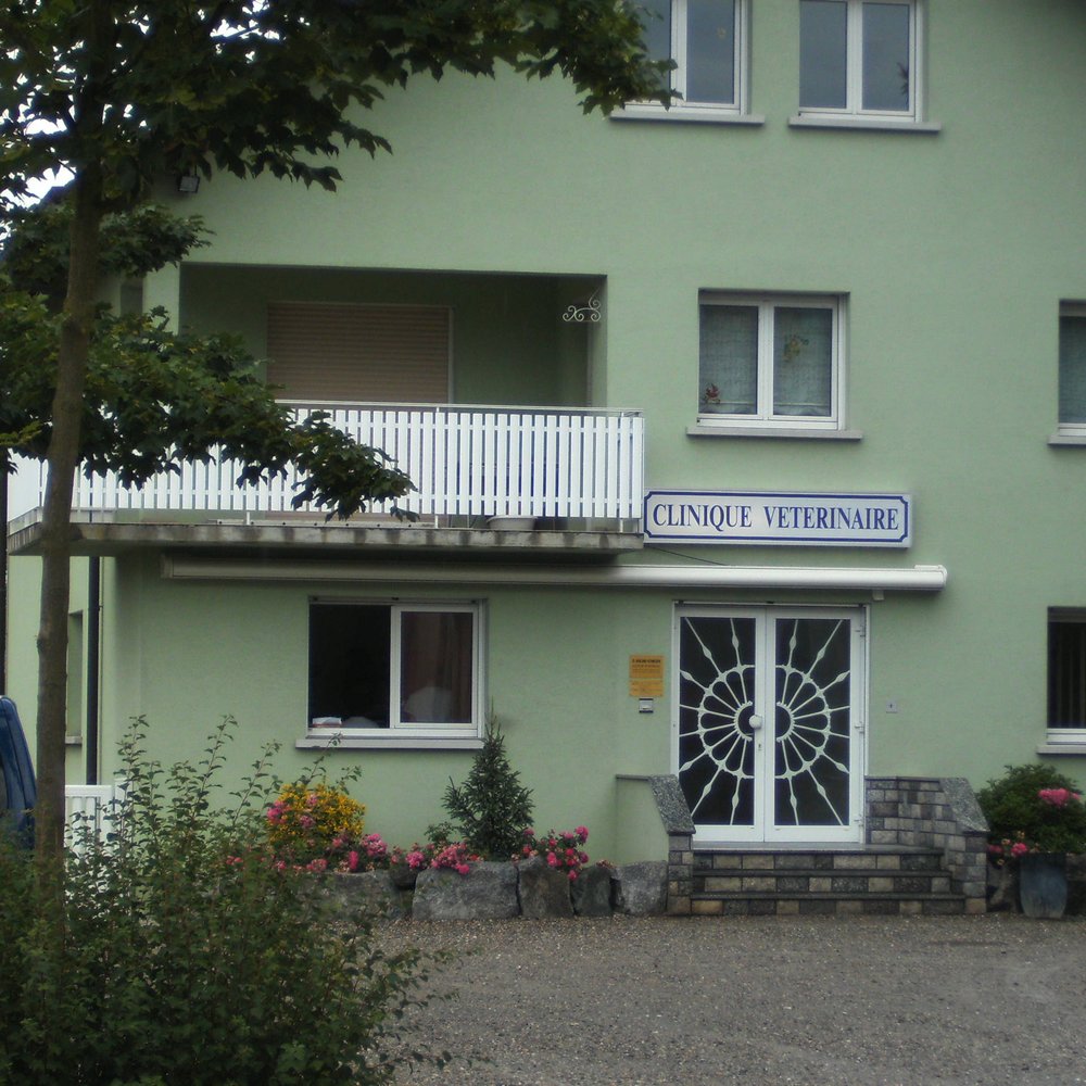 Dr.med.vet. Päivi Steinborn Tierarzt