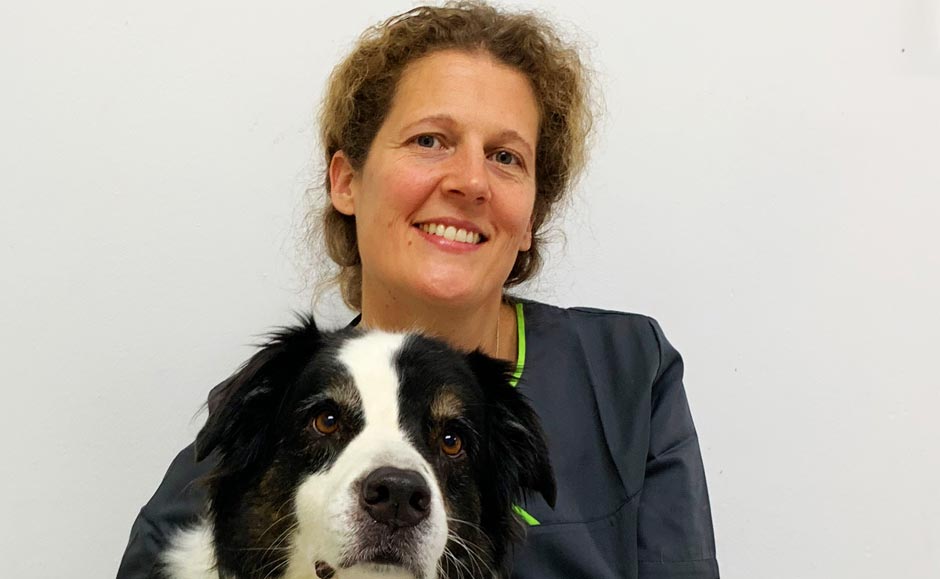Tierarztpraxis Klotzenhof — Angelica Fritsch