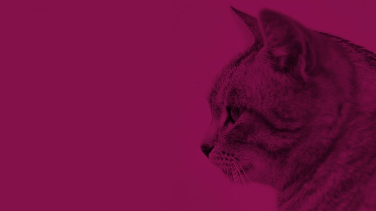 Tierarztpraxis Klotzenhof — Angelica Fritsch