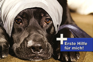 Tierarztpraxis Wilhelmshof Dr.med.vet. Lindner & Kollegen
