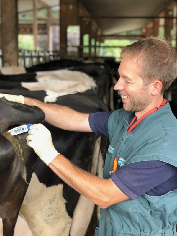 Tierärztliche Gemeinschaftspraxis in Oberschwaben