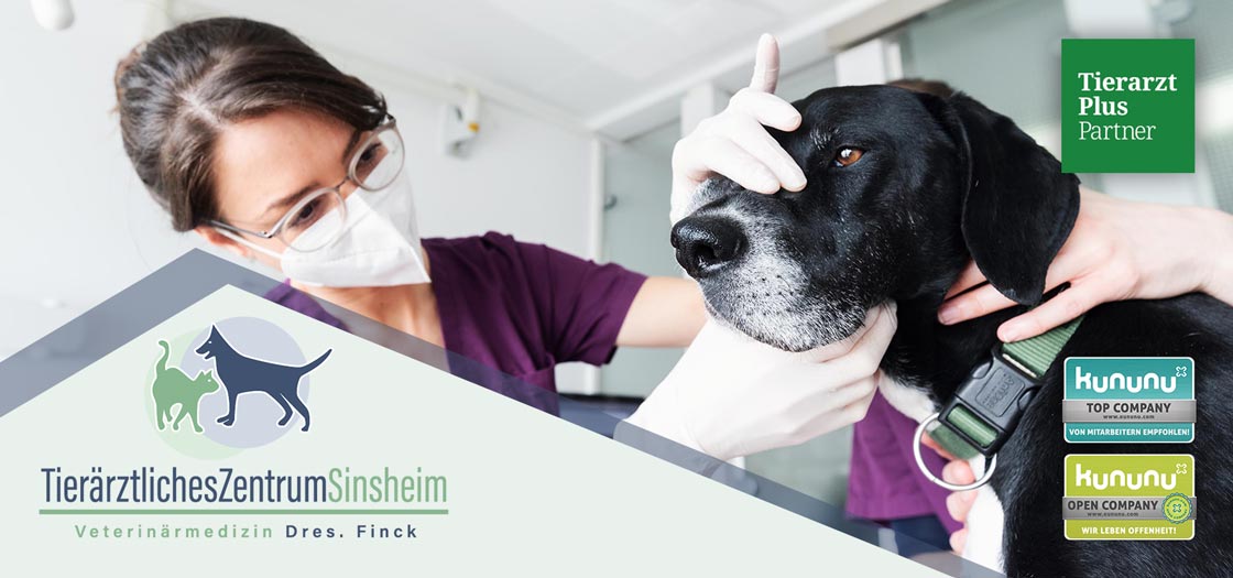 Tierarzt Finck Sinsheim, Tierärztliches Zentrum Sinsheim