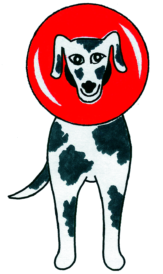 Tierarztpraxis Schäfer, Tierarzt Thorsten Schäfer
