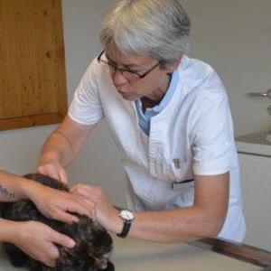 Dr.med.vet. Elisabeth Ney Tierärztin