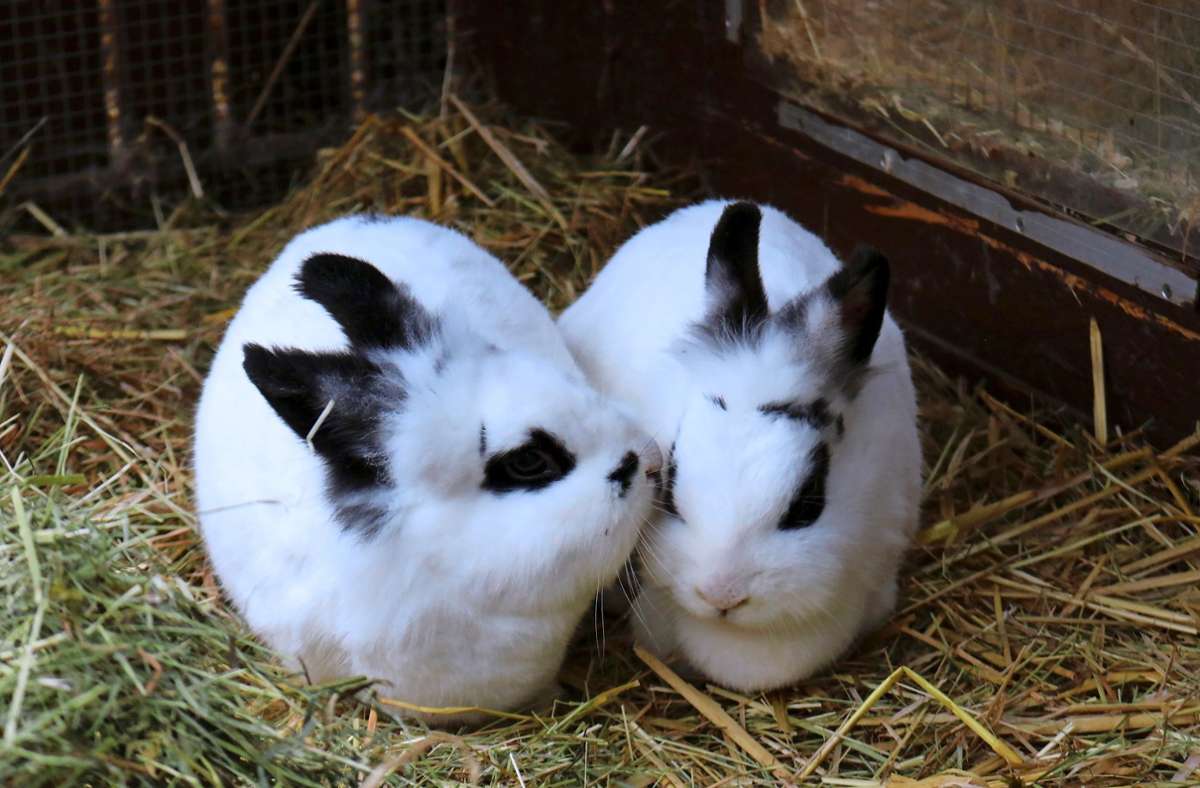 Dr. Eva Bonfert und Dr. Volker Bonfert