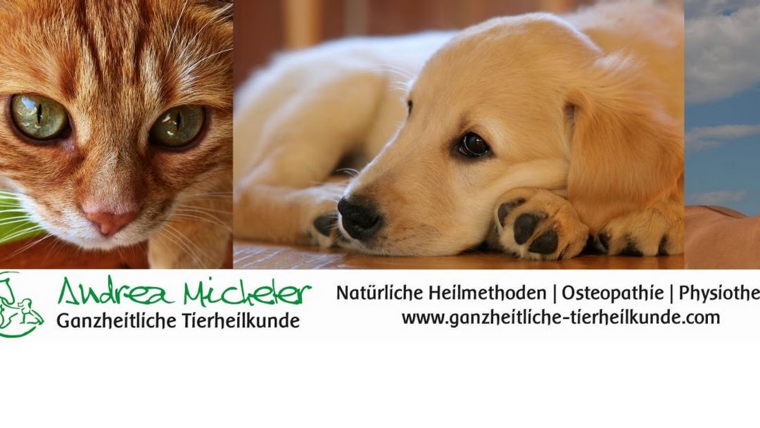 Naturheilkunde für Tiere Micheler