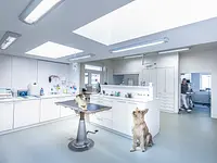 Tierklinik Rhenus AG