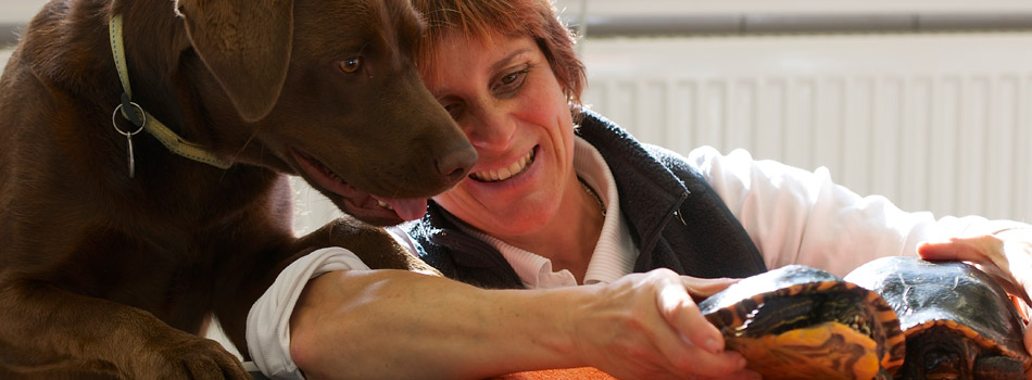 Karin Bührle Onlinesprechstunde für Hunde