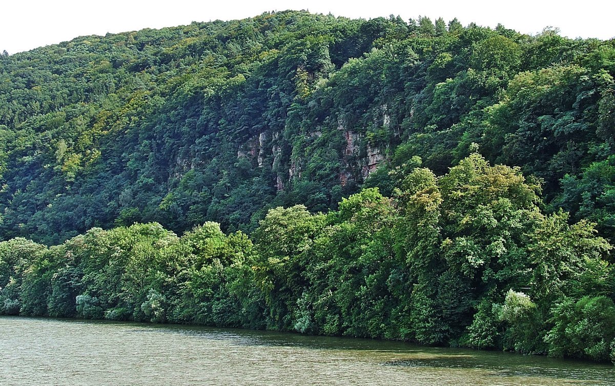 Kleintierzentrum Neckar-Odenwald