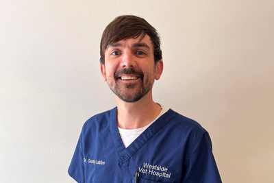 Dr.med.vet. Gudula Golomski