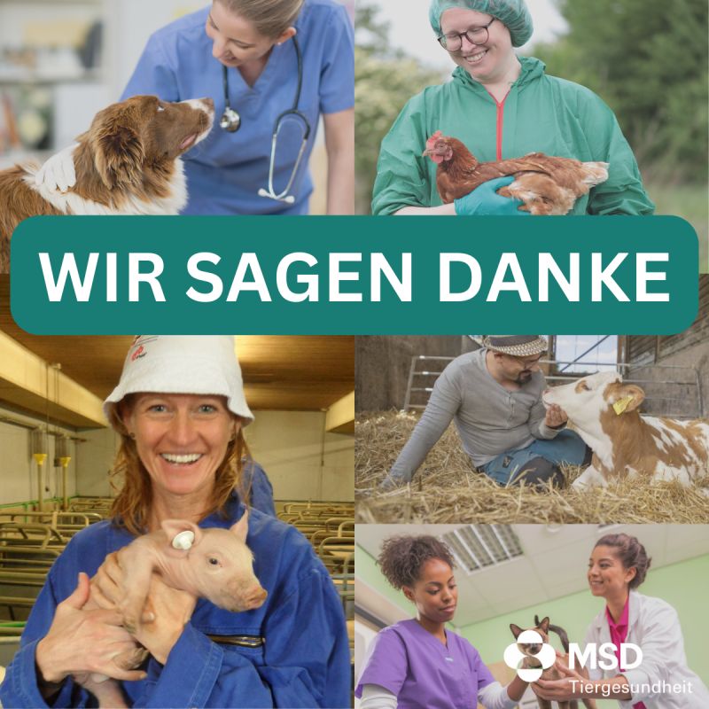 Tierarztpraxis Dr. med. vet. Jochen Schäfer