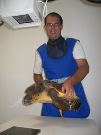 Dr.med.vet. Steffen Kraut