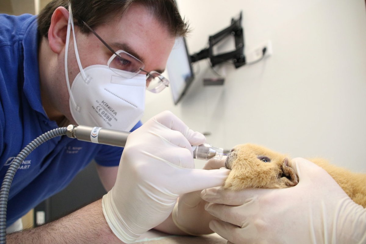 AniCura Tierklinik Stuttgart Plieningen