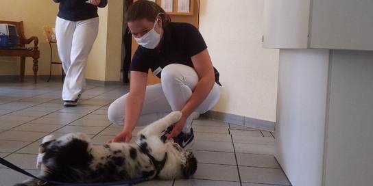 Tierklinik Ganal und Ewert