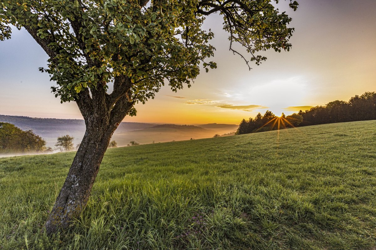 Kleintierzentrum Neckar-Odenwald