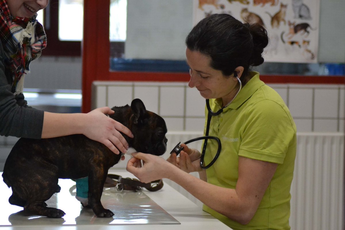 Schwarzwald-Tierklinik GmbH