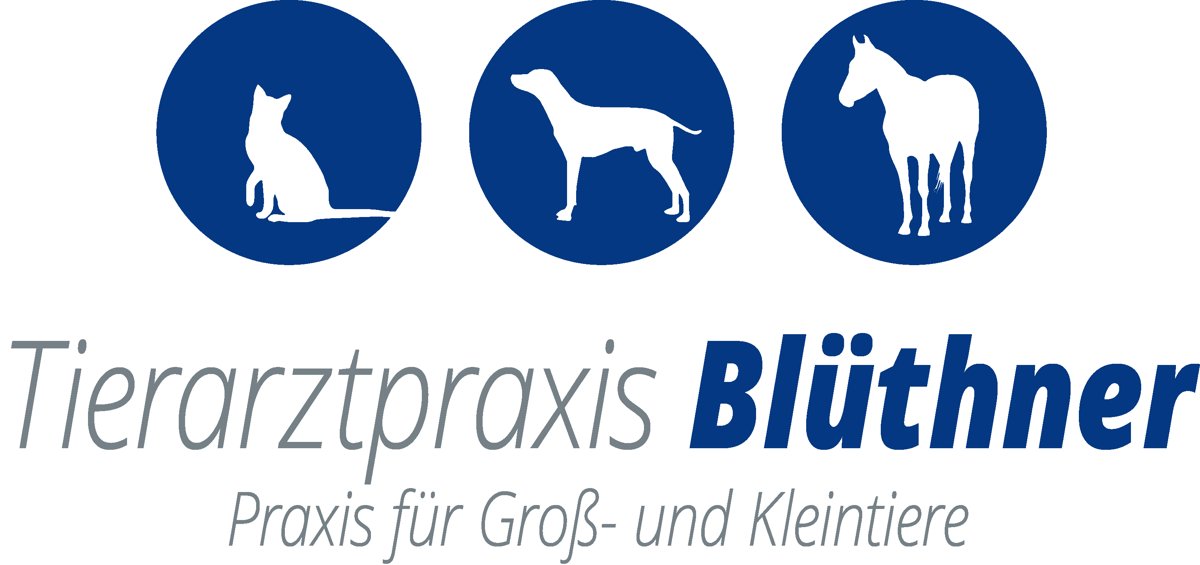 Praxis für Kleintiere und Pferde