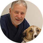 Tierarztpraxis für Groß- und Kleintiere Dr. Wolf Rensmeyer