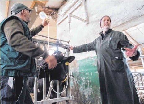 Tierklinik Ganal und Ewert