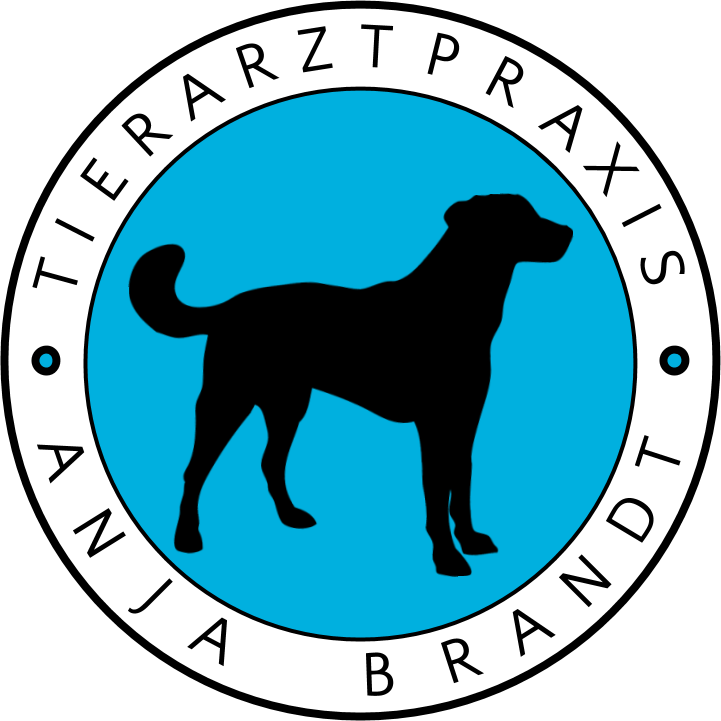 Tierarztpraxis Bruneau