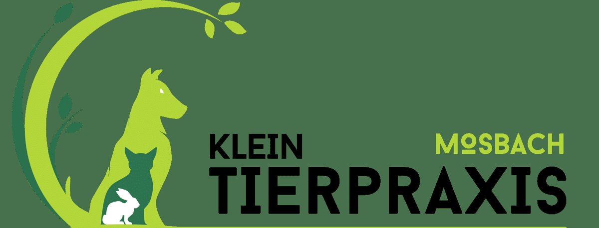 Kleintierpraxis In Der Steinstraße