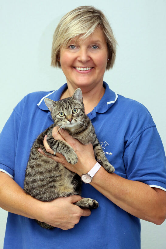 Dr.med.vet. Anja Zolke Tierärztin