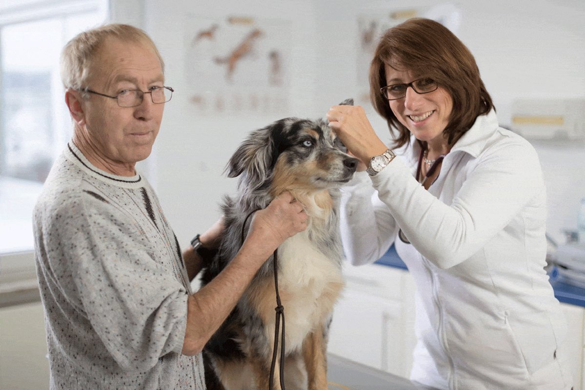 Dr.med.vet. Corinna Pyczak Tierärztin