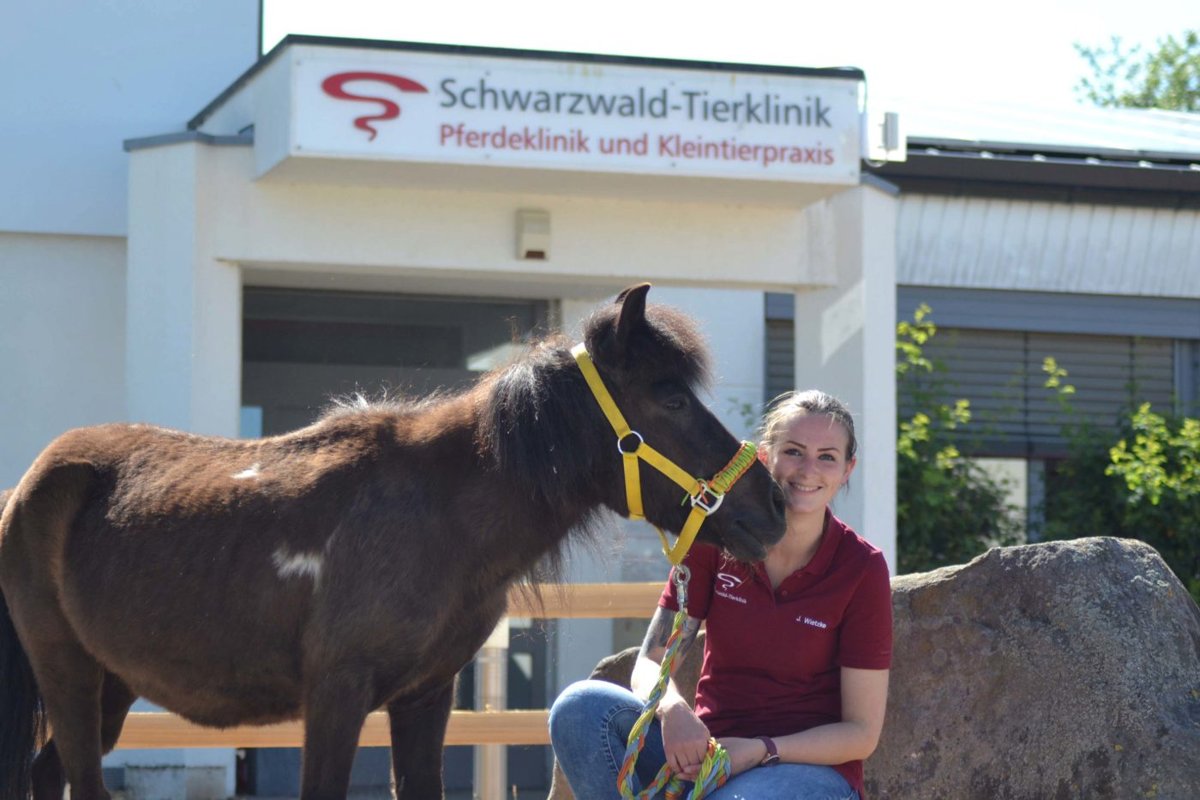 Schwarzwald-Tierklinik GmbH