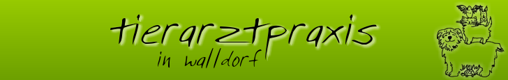 Tierarztpraxis Dr. Heike Hildebrand