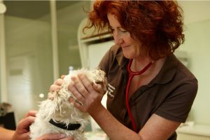 Dr. med. vet. Jutta Berger Riedlingen