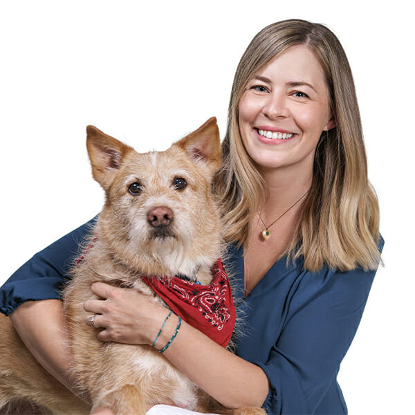 Veitinger W. Dr.med.vet.
