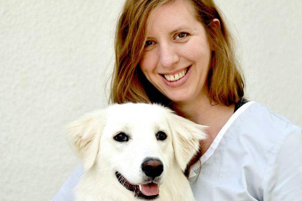 med.vet. D. Gözüm Tierarzt